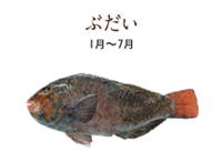 fish01
