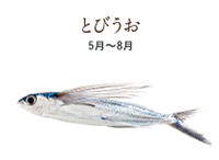 fish02