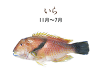fish10