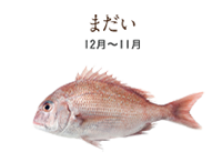 fish11