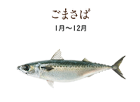 fish12