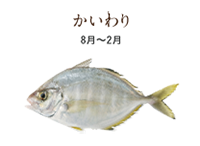 fish15