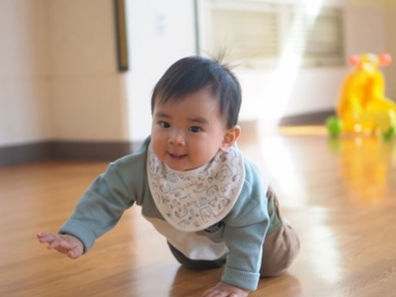 9ヶ月の赤ちゃんは手や足の力が発達してきて、活動範囲が広がるころです。